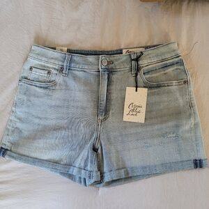 NWT Cosmic Blue Love Denim Shorts